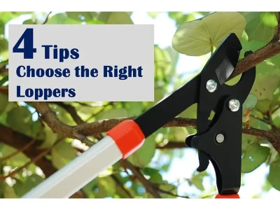 4 consejos sobre cómo elegir los loppers adecuados