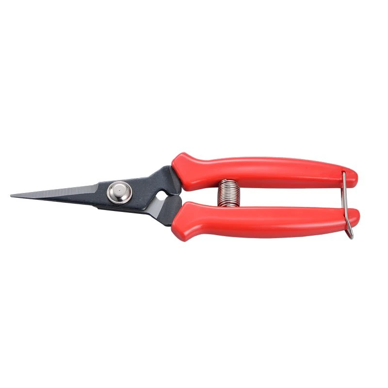 6-1/2" Obstschere
