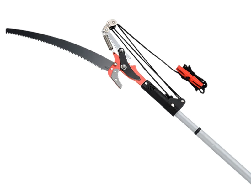Tree Pruners
