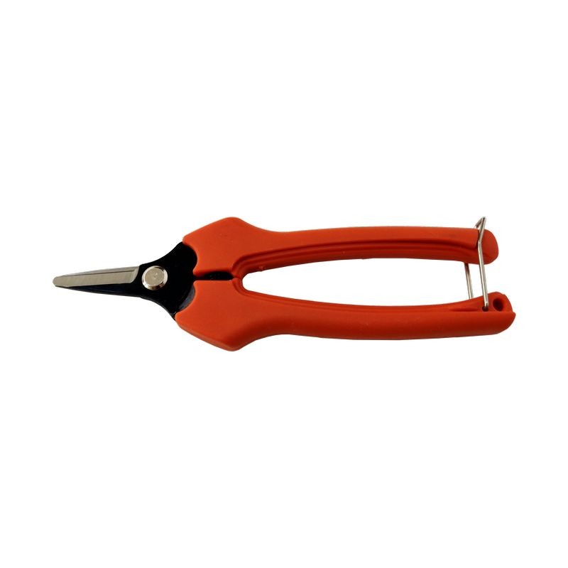 6-1/2" hochwertige, kurze, gerade Erntescheren