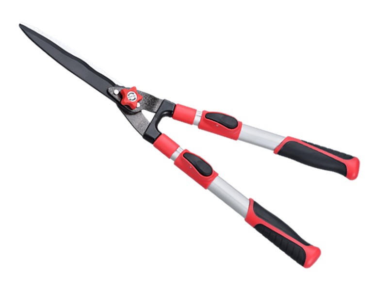 Hedge Shears