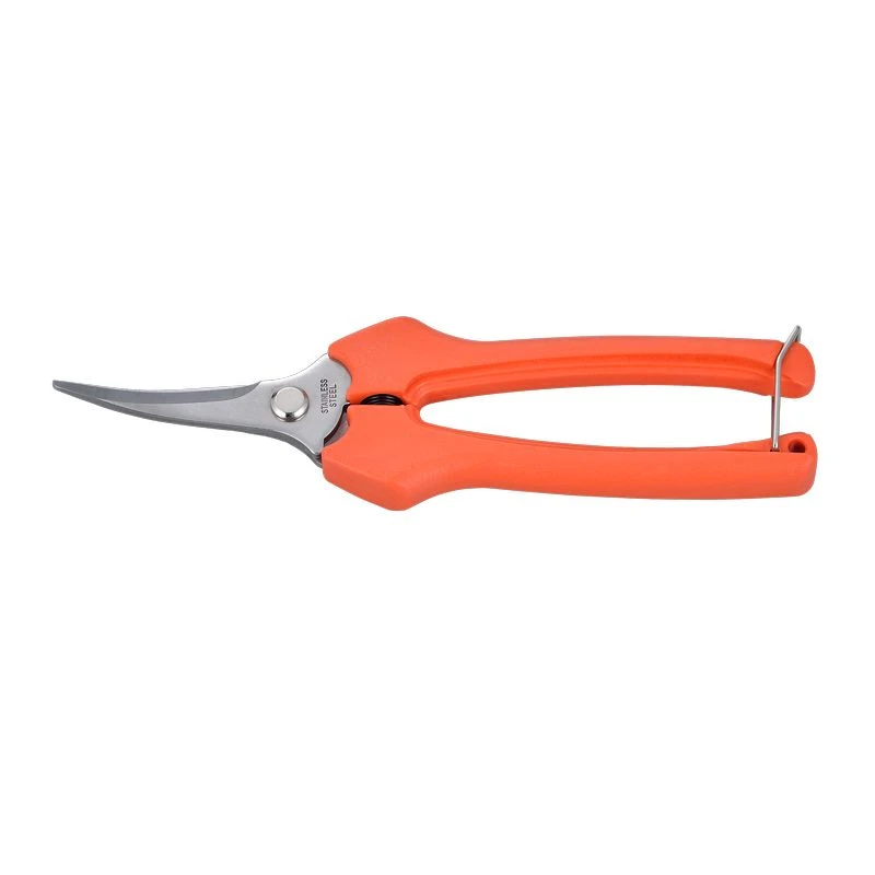 7-3/8" Hochwertige, aus Edelstahl gefertigte, lange, gebogene Obstscheren