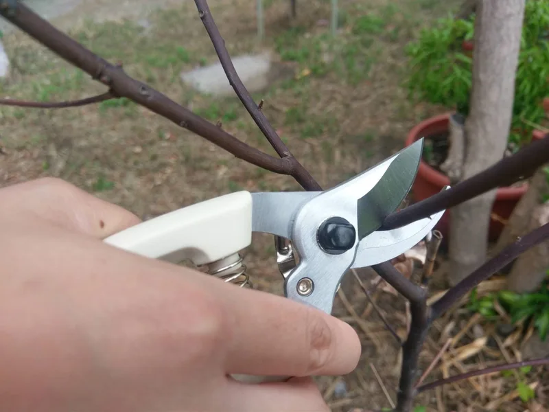 7-1/4" Medium bypass hand pruner