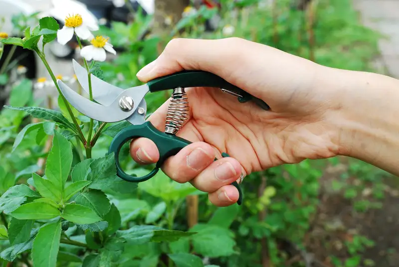 5-1/2" Floral pruning shears