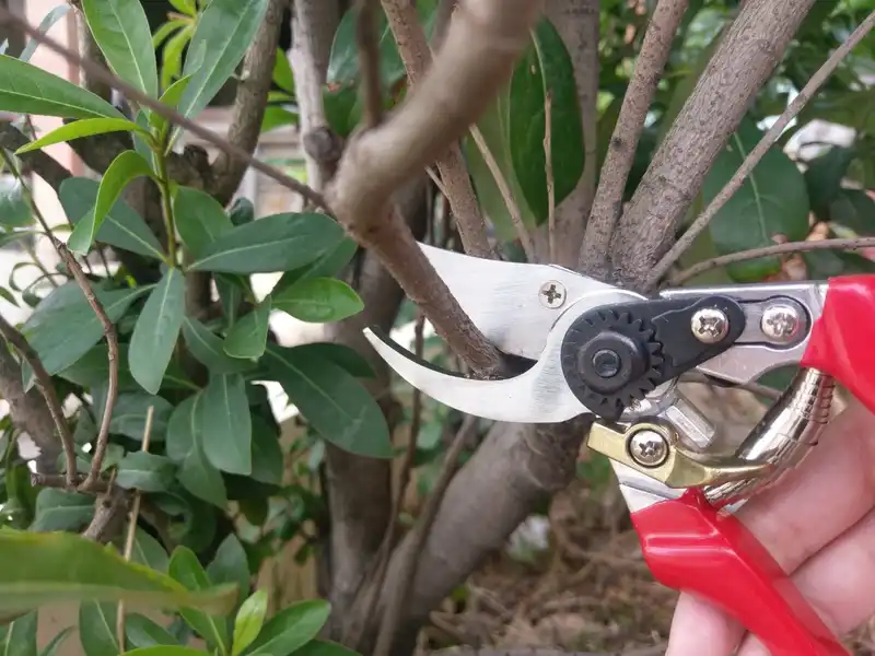 8-1/2" Bypass pruning shears