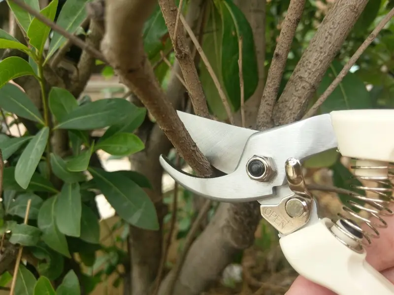 7-1/4" Medium bypass hand pruner