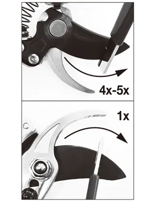 Sharpening Your Pruning Tools