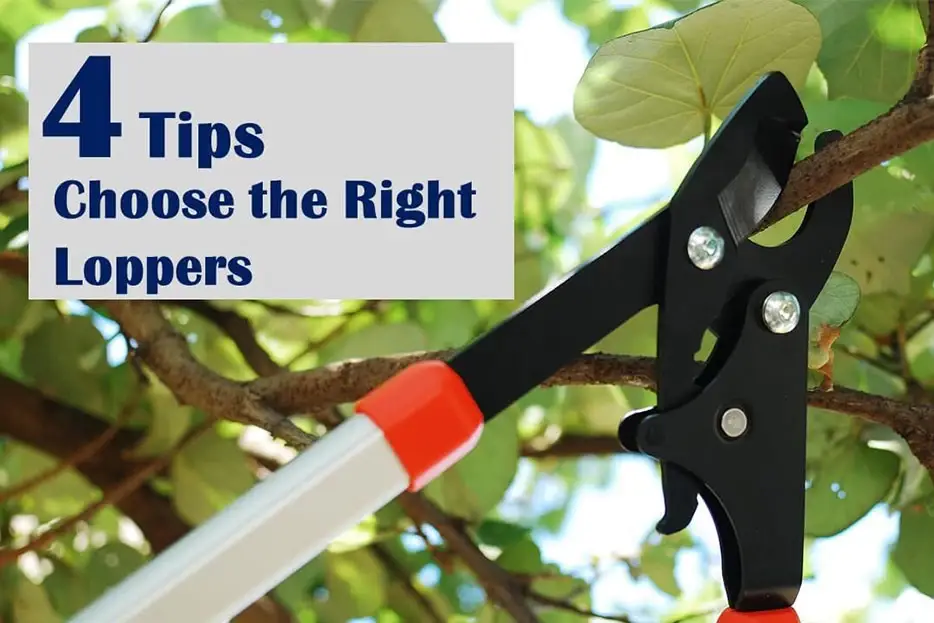 4 Tips on How to Choose the Right Loppers