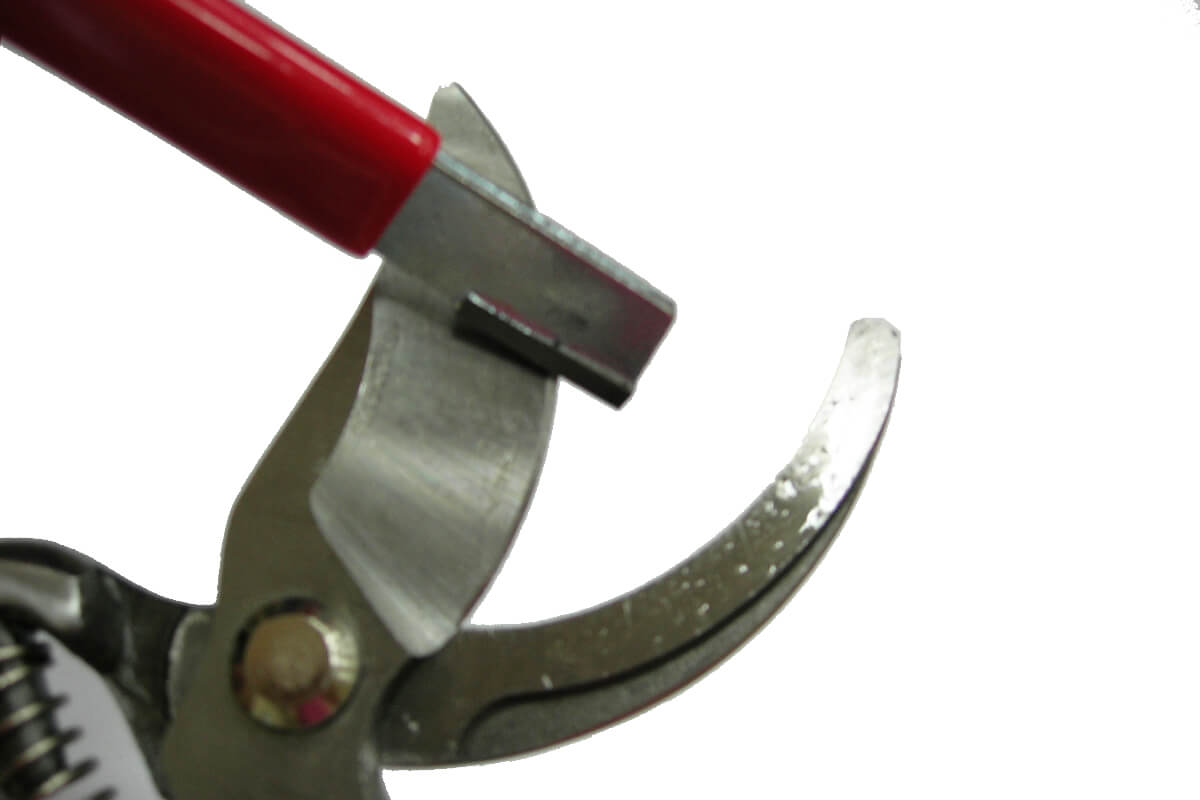 600019sharpener-1 600019sharpener-1