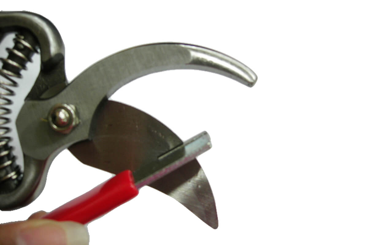 600019sharpener-2 600019sharpener-2