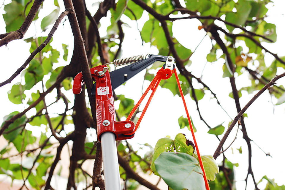 pdt-tree-pruners